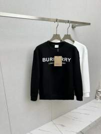 Picture of Burberry Sweatshirt _SKUBurberryS-2XLtltx27031036